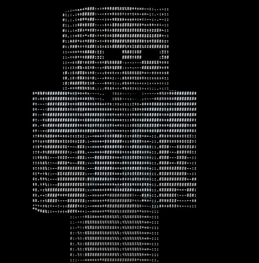 White ASCII-art person standing against a black background