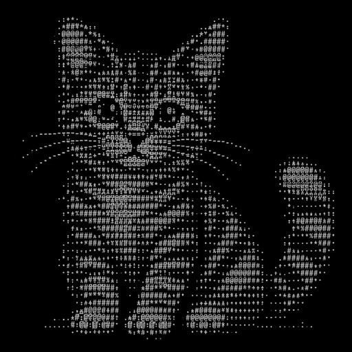 KITTYYYYYYYYYYYY