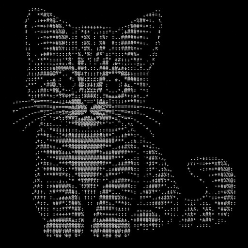 KITTYYYYYYYYYYYY