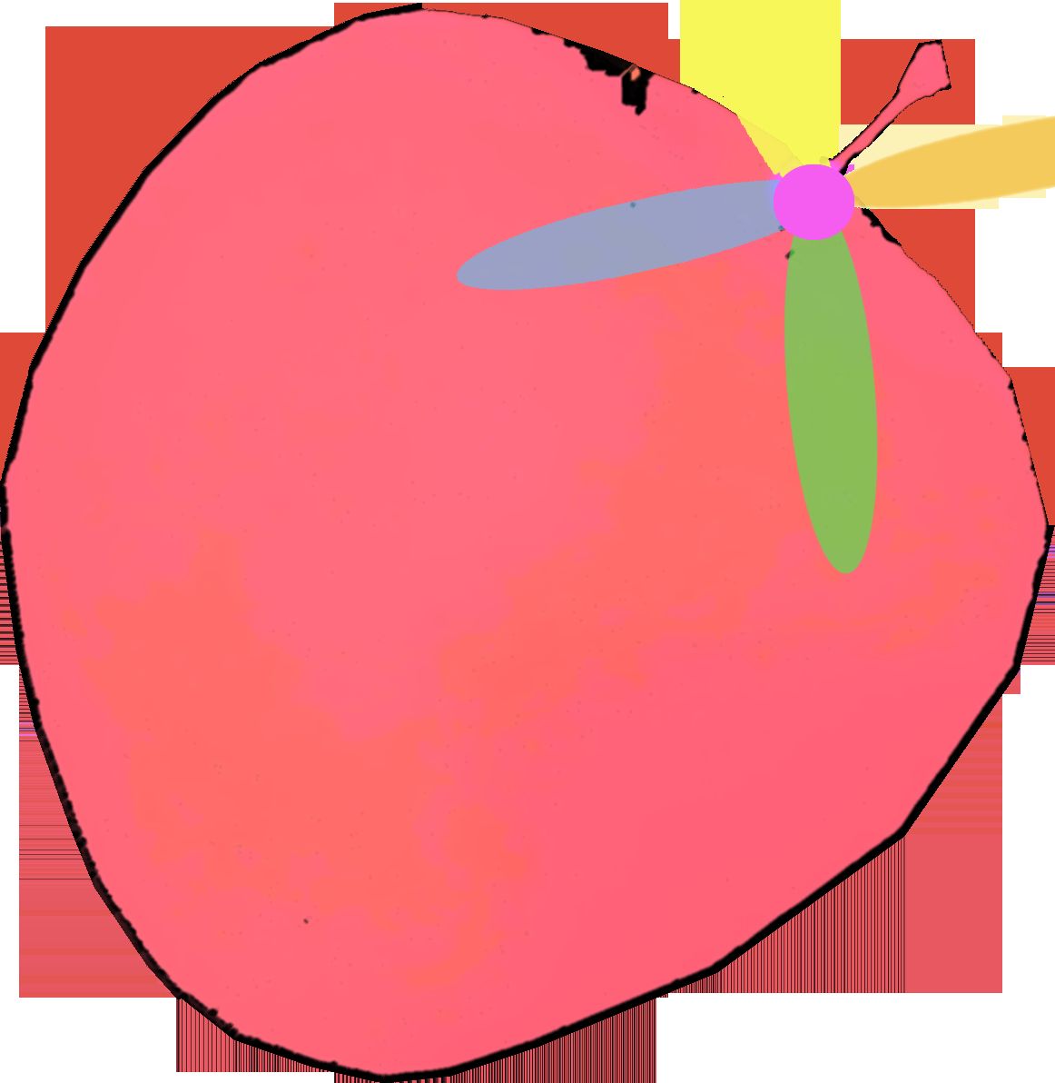 fgsdfg