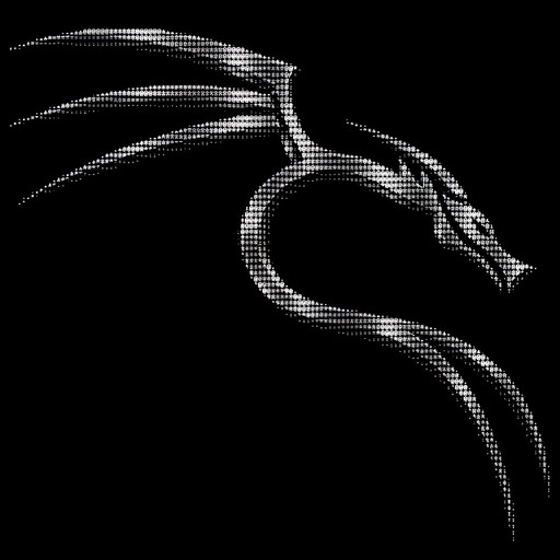 White ASCII-style dragon flying on a black background.