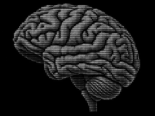 Monochrome ASCII art of a human brain viewed from the side.