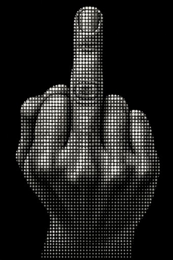 A realistic human fist facing forward, with four fingers curled inward and the middle finger extended upward