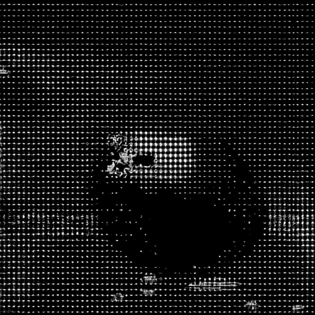 a seal is swimming in the water near the rocks