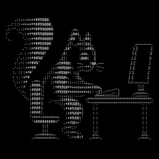 squirel using a computer