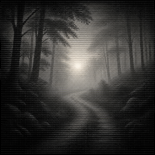 Grayscale ASCII art style example